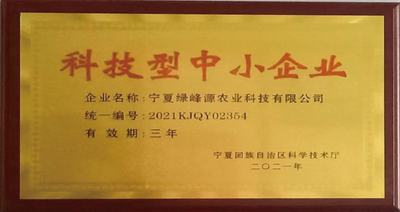 科技型中小企业